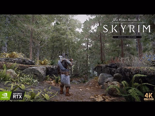 What are mods for Skyrim?