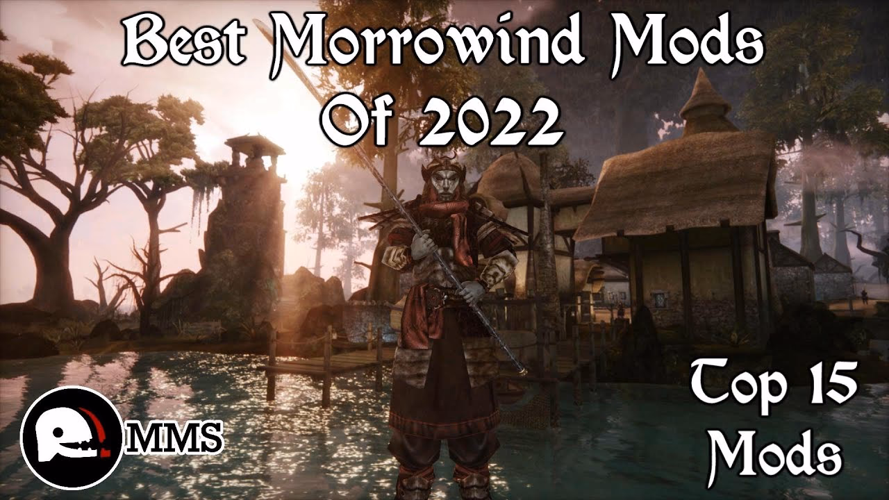 Does Morrowind have a new NPC mod?