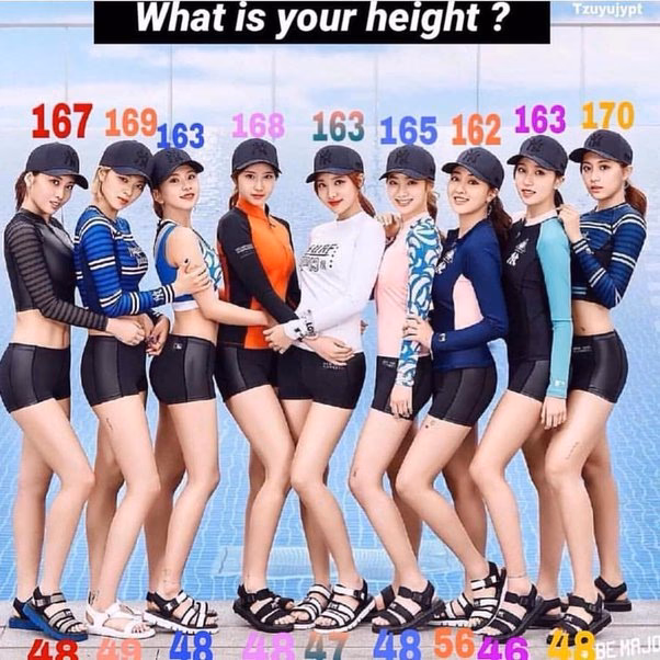 What does Momo look like?