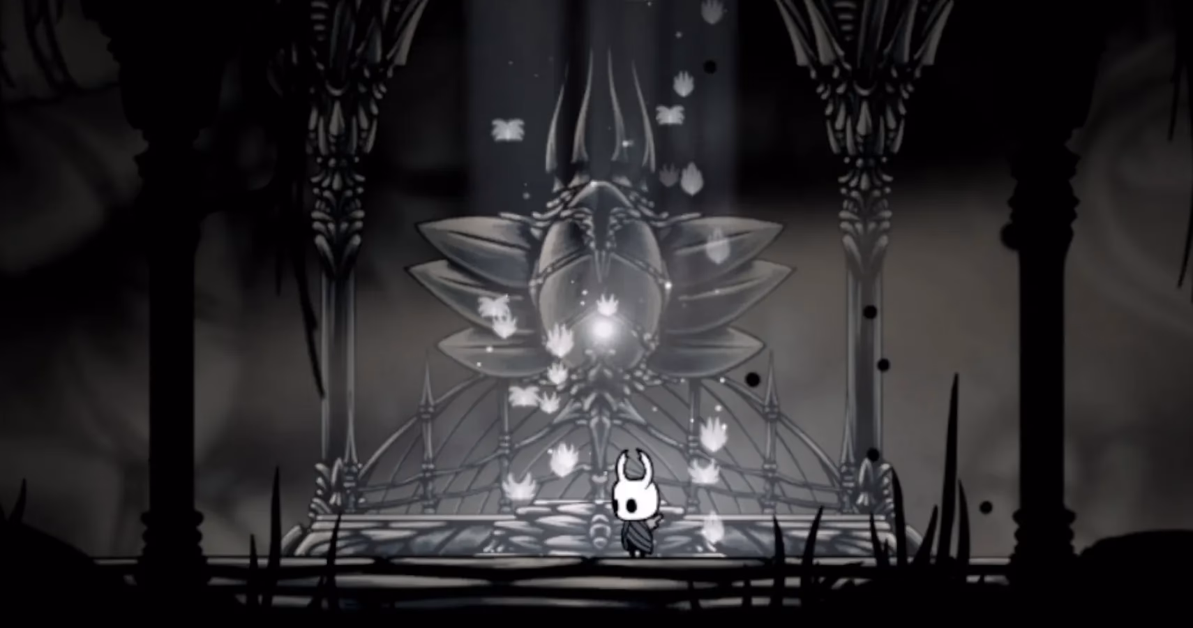 How do the monarch wings work?