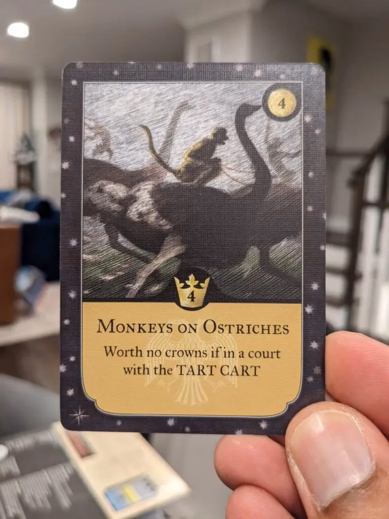 Where can I buy monarch?
