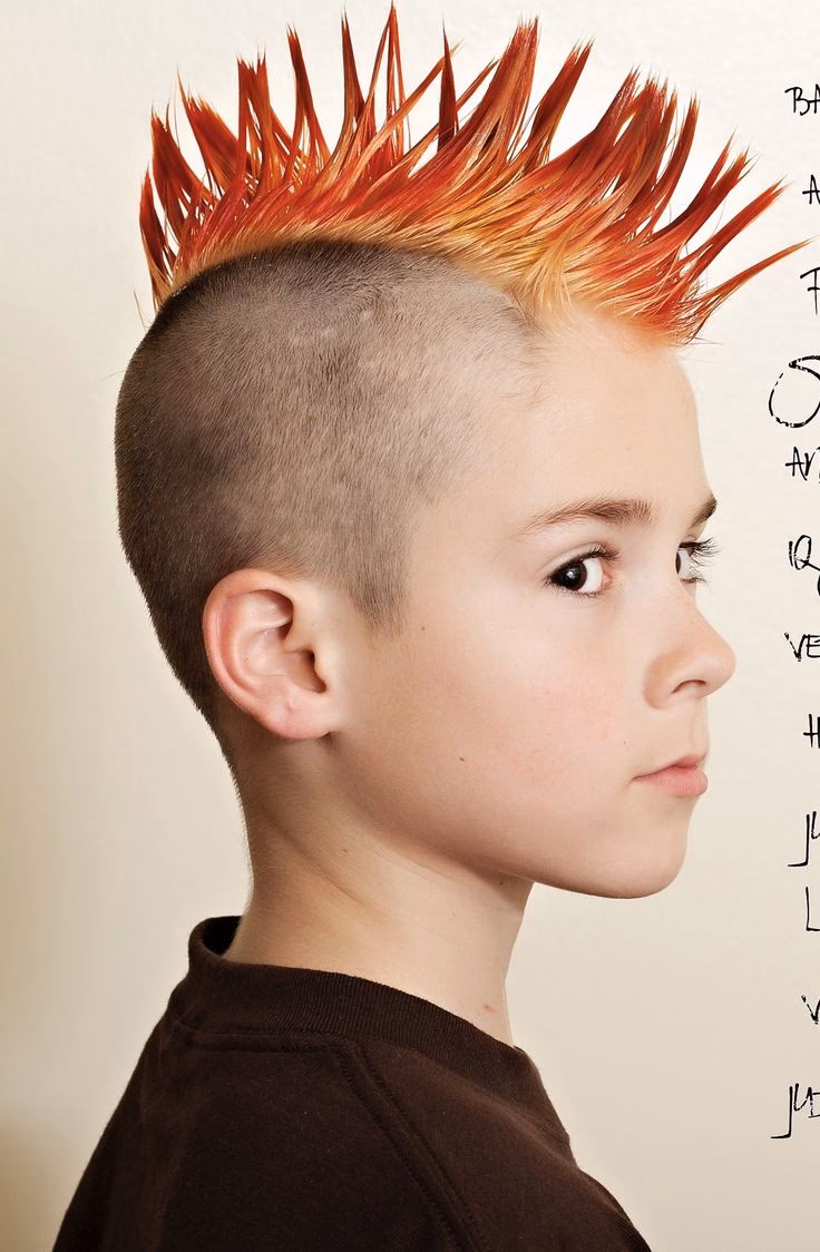 Can you play Monster Hair Salon online?