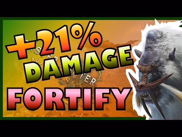 What does fortify do?