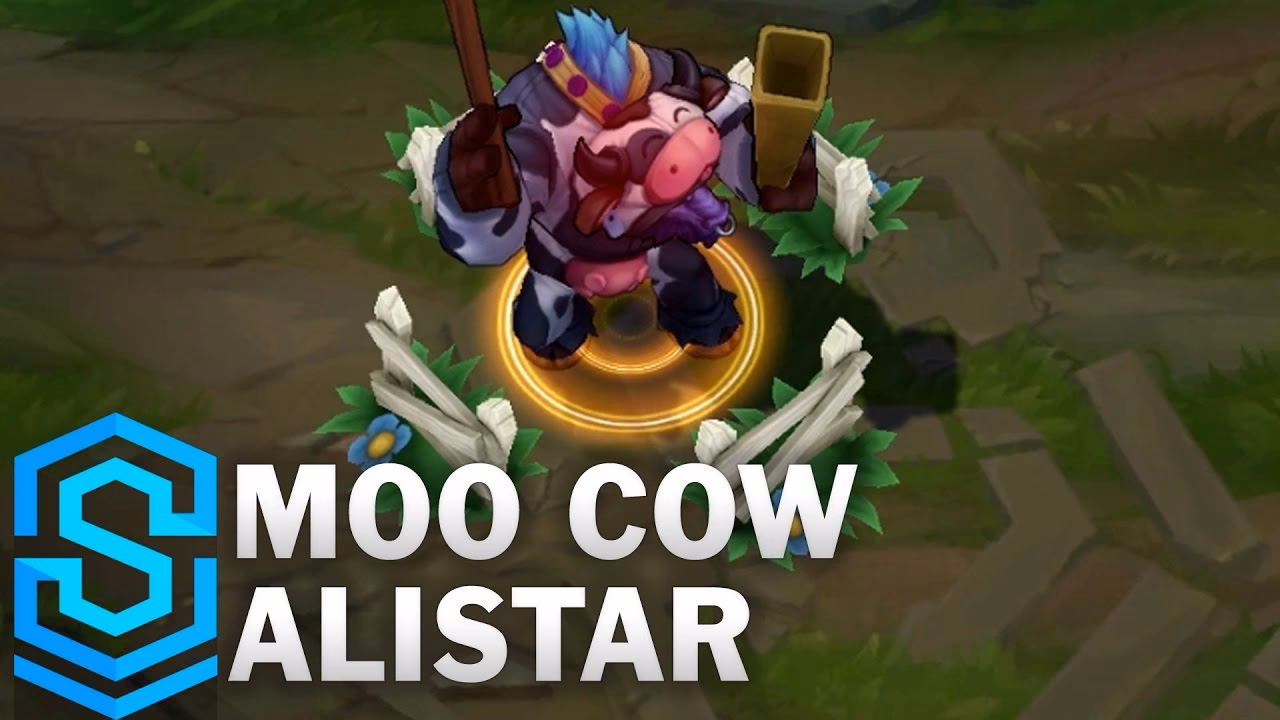 What is Moo Cow Alistar?