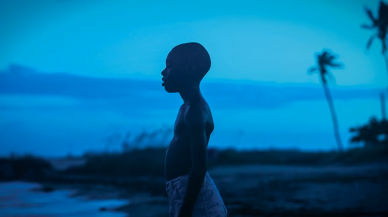 What happens at the end of Moonlight?