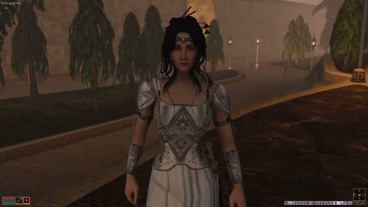 Does Morrowind have a 1st person animation mod?