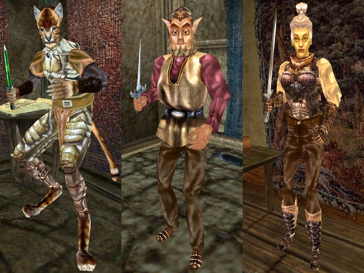 What does fighters Guild stand for?