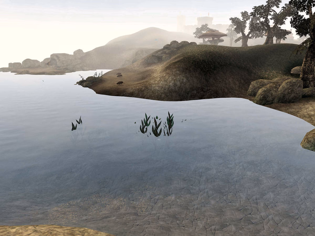 What is water breathing in Morrowind?