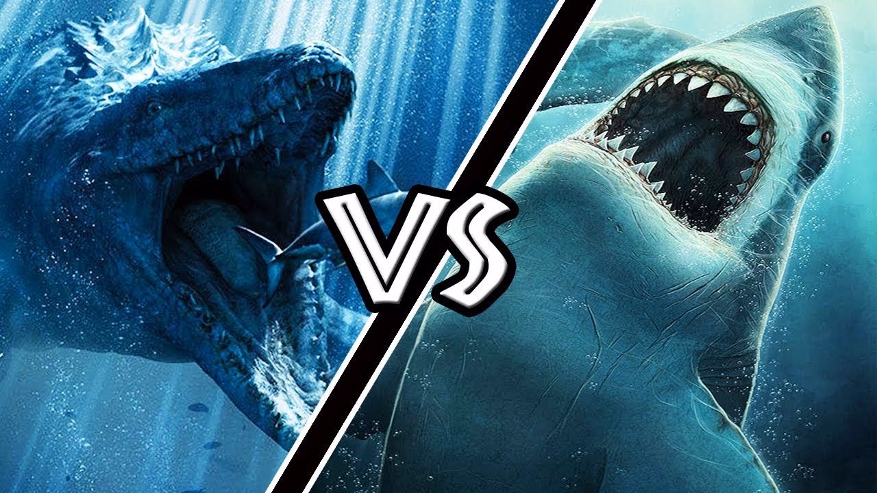 ¿Qué sabemos sobre el megalodon?