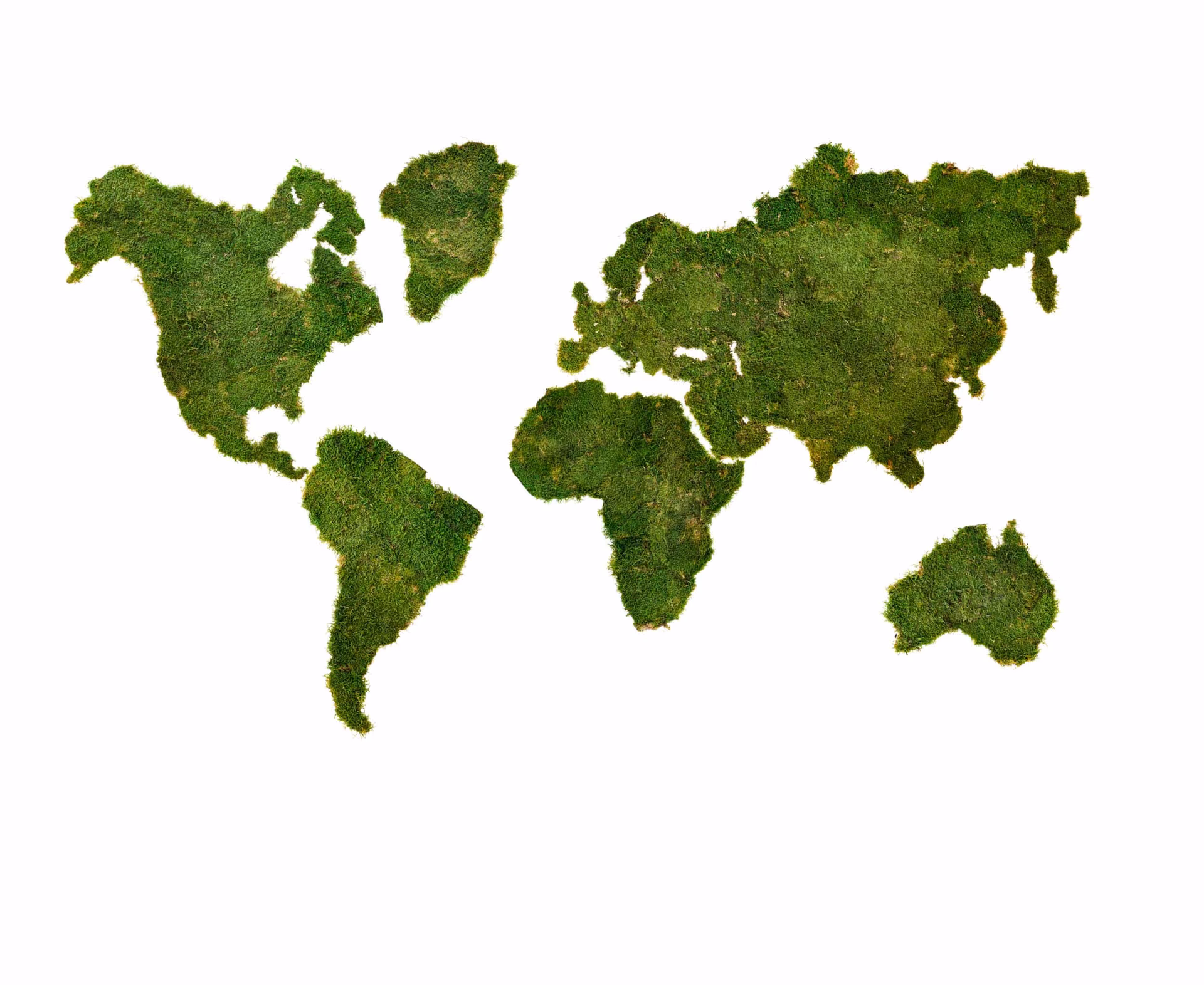 What is a moss map?