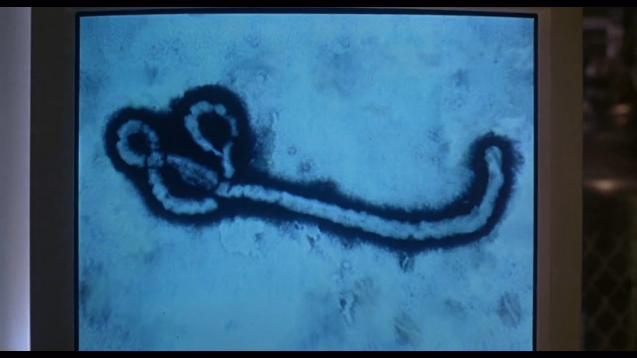 ¿Cómo se podría controlar una epidemia del virus Motaba?