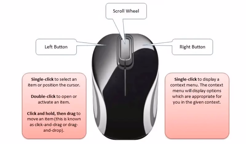 What are left click and right click buttons on a computer mouse?