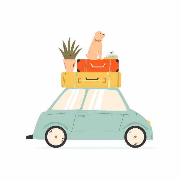 What is Move My Car?
