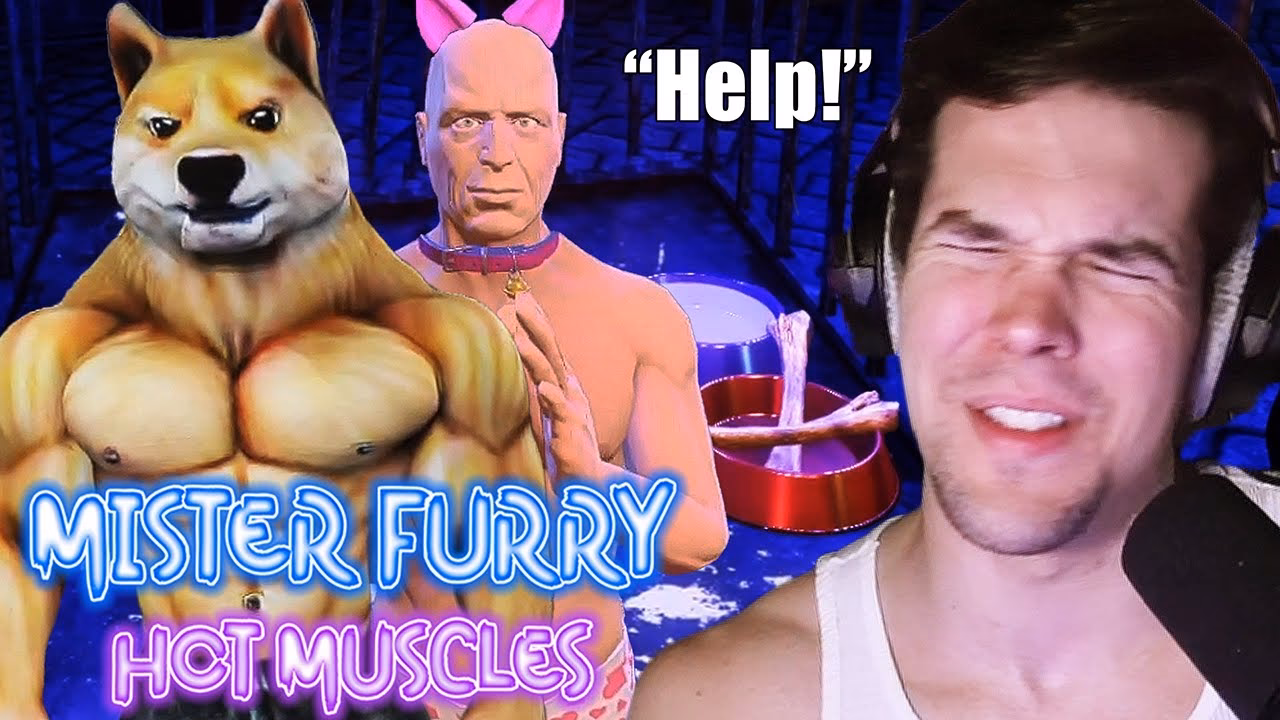 What is furry boys arcade game?