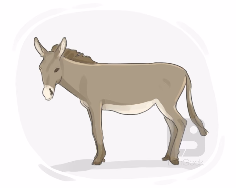 What does riding a mule mean?