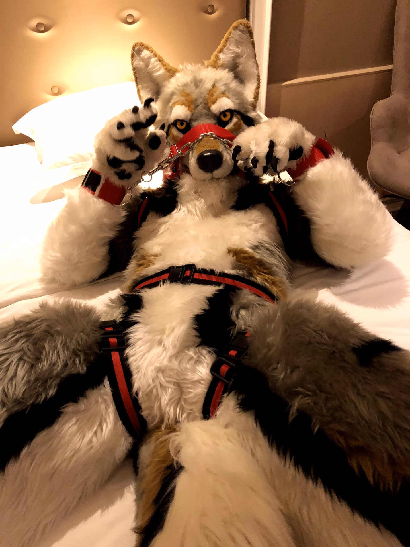What is a murrsuit?