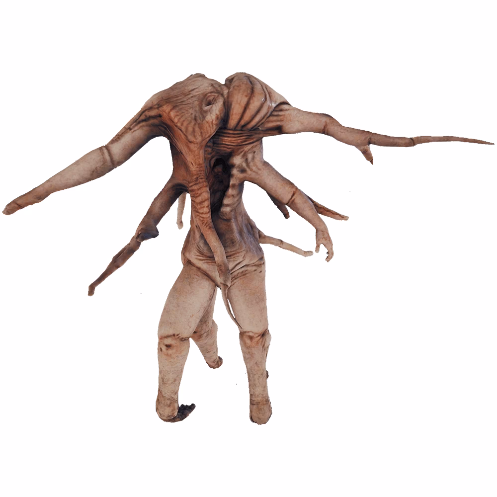 What types of mutants can you encounter in the forest?
