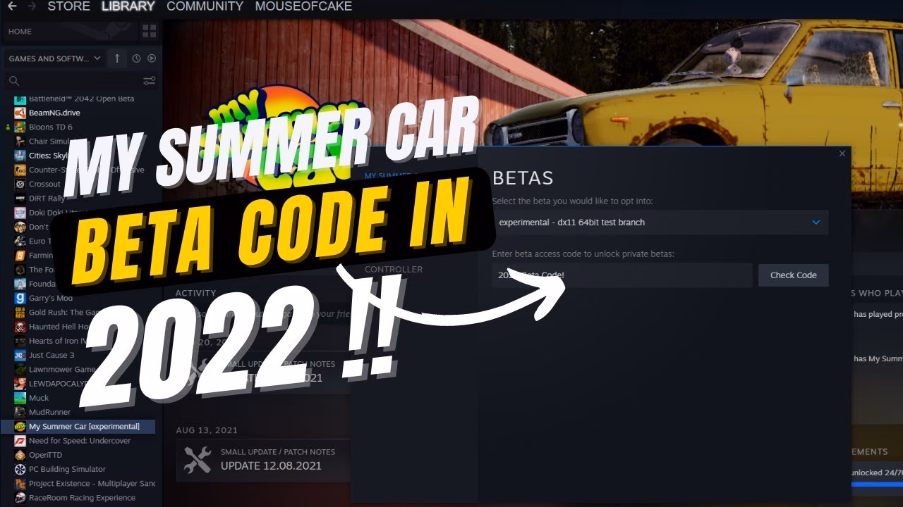 How do I check if my summer car has a beta version?