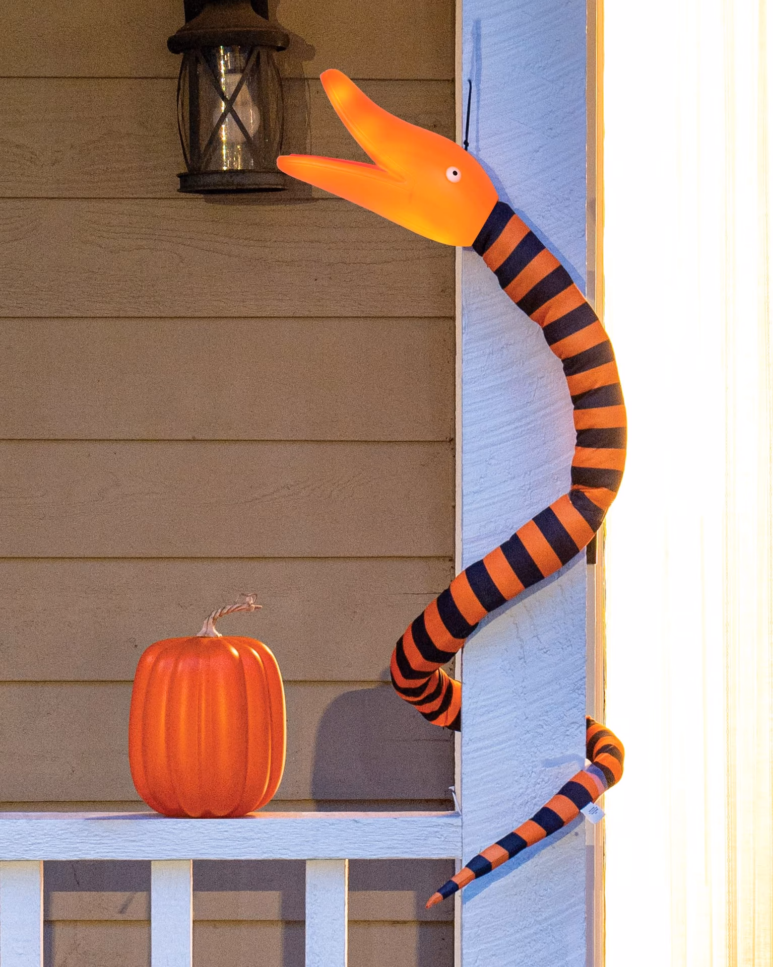Where are the Nightmare snakes?