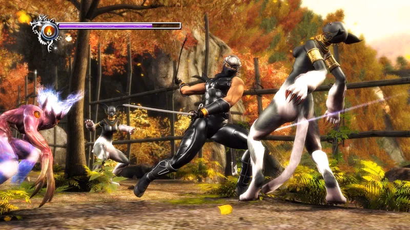 What are Ninja Gaiden Black & Ninja Gaiden Sigma remakes?