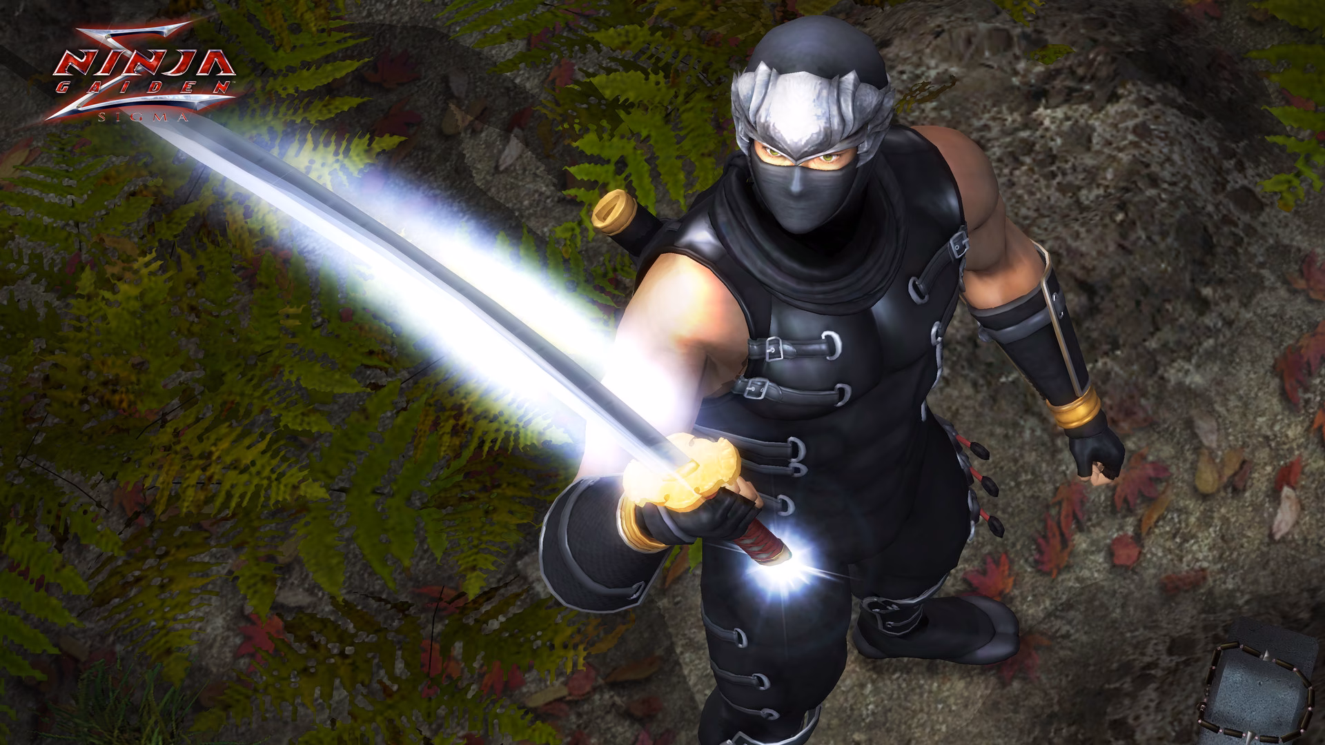 What is Ninja Gaiden?
