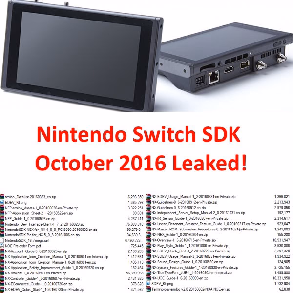 How does the Nintendo Switch SDK function?