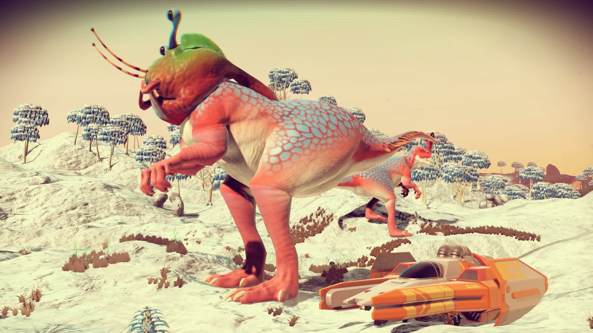 What is a species in no man's Sky?