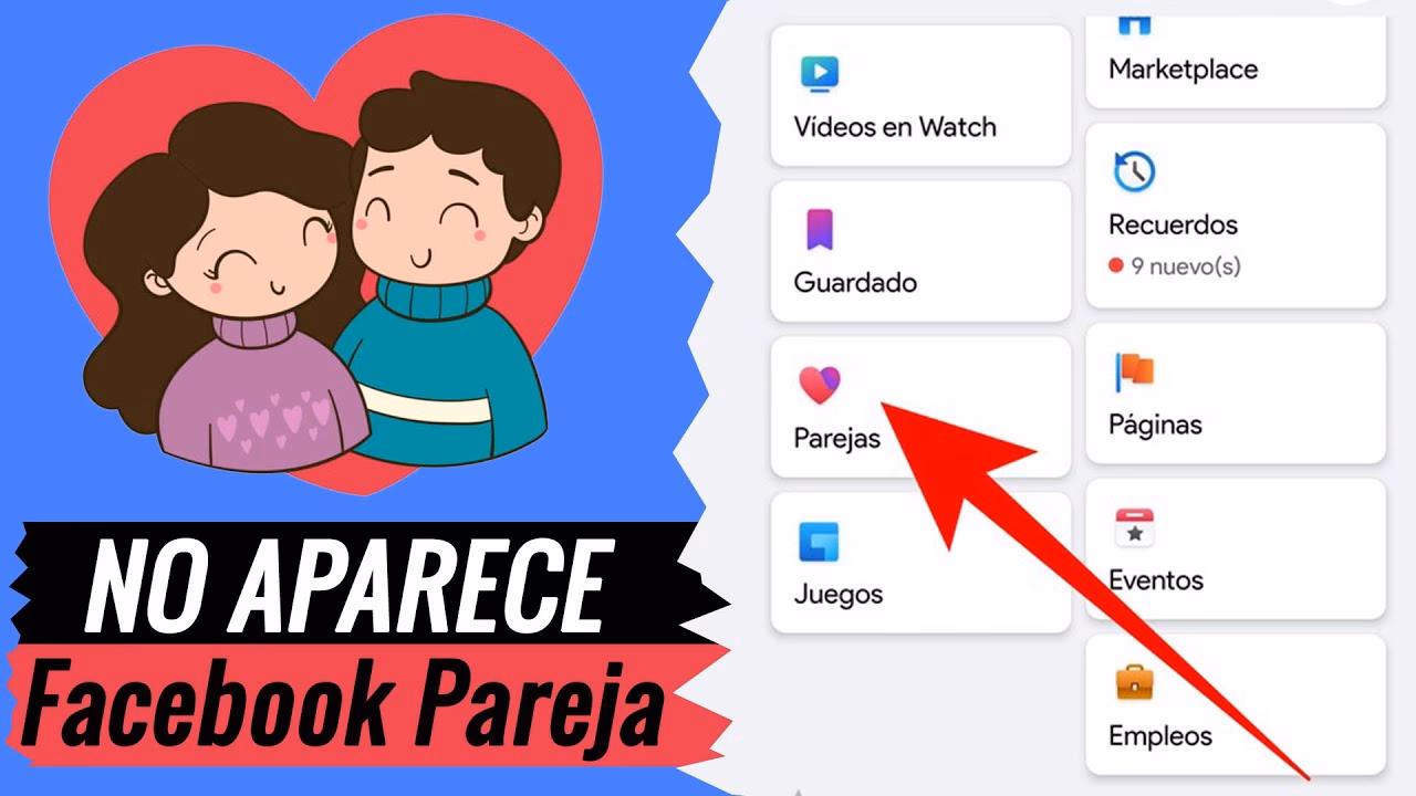 ¿Cómo puedo ver mis citas en APA?