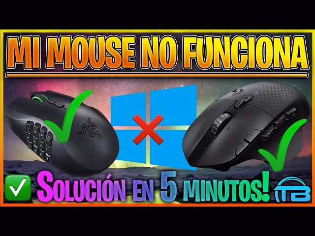 ¿Por qué no puedo conectar mi Mouse a Mi PC?