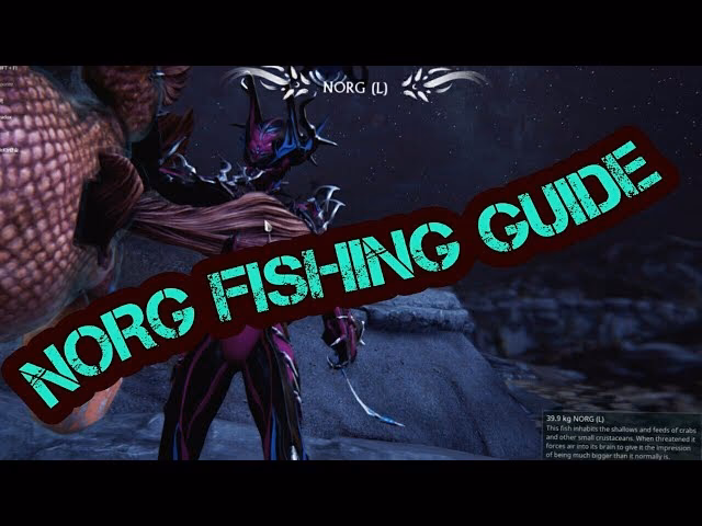 What is a bait & how do you use it?