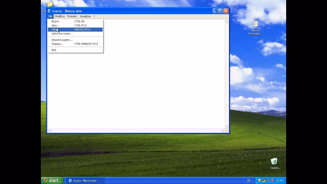 What typeface does Windows XP use?