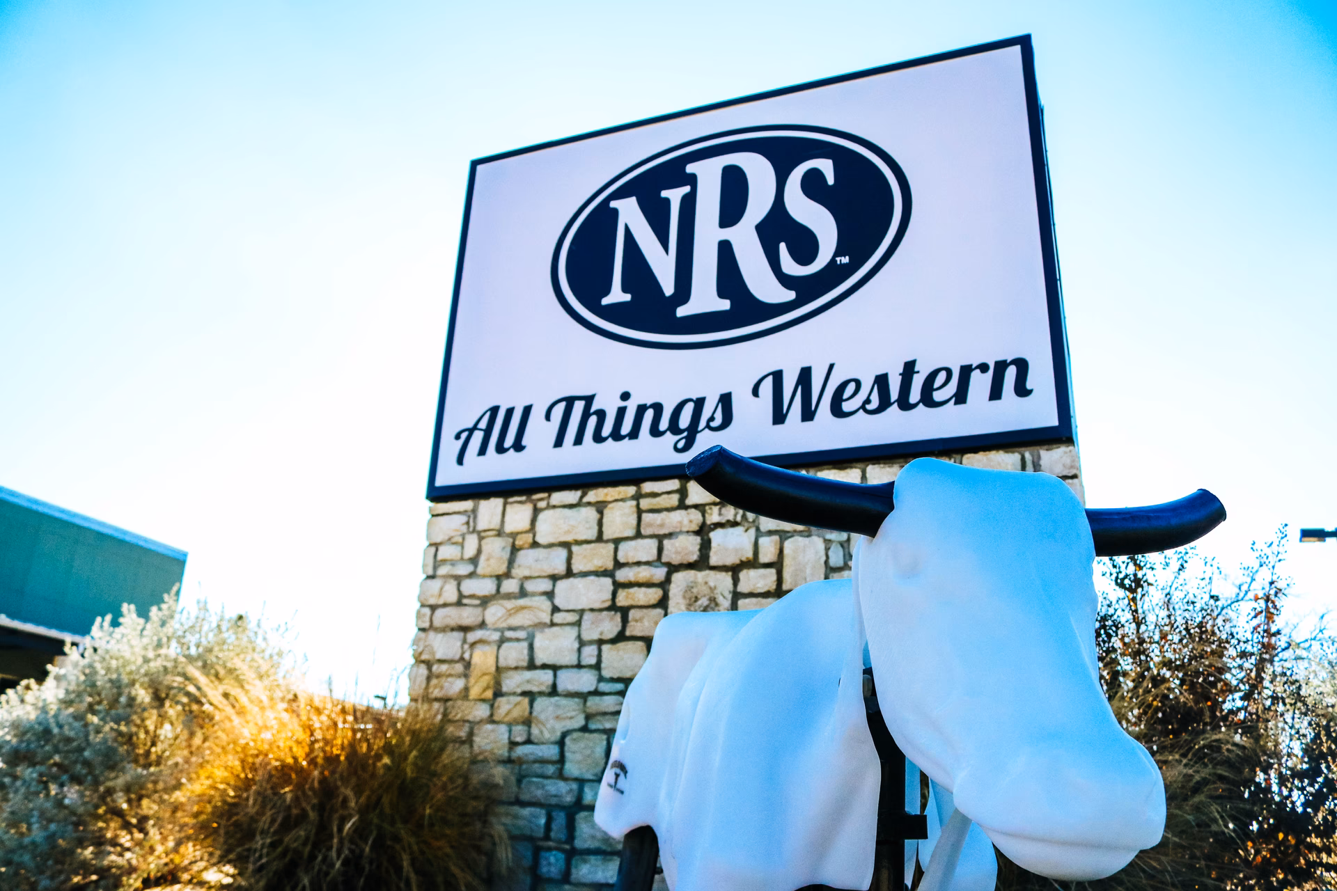 What is NRS Brands?