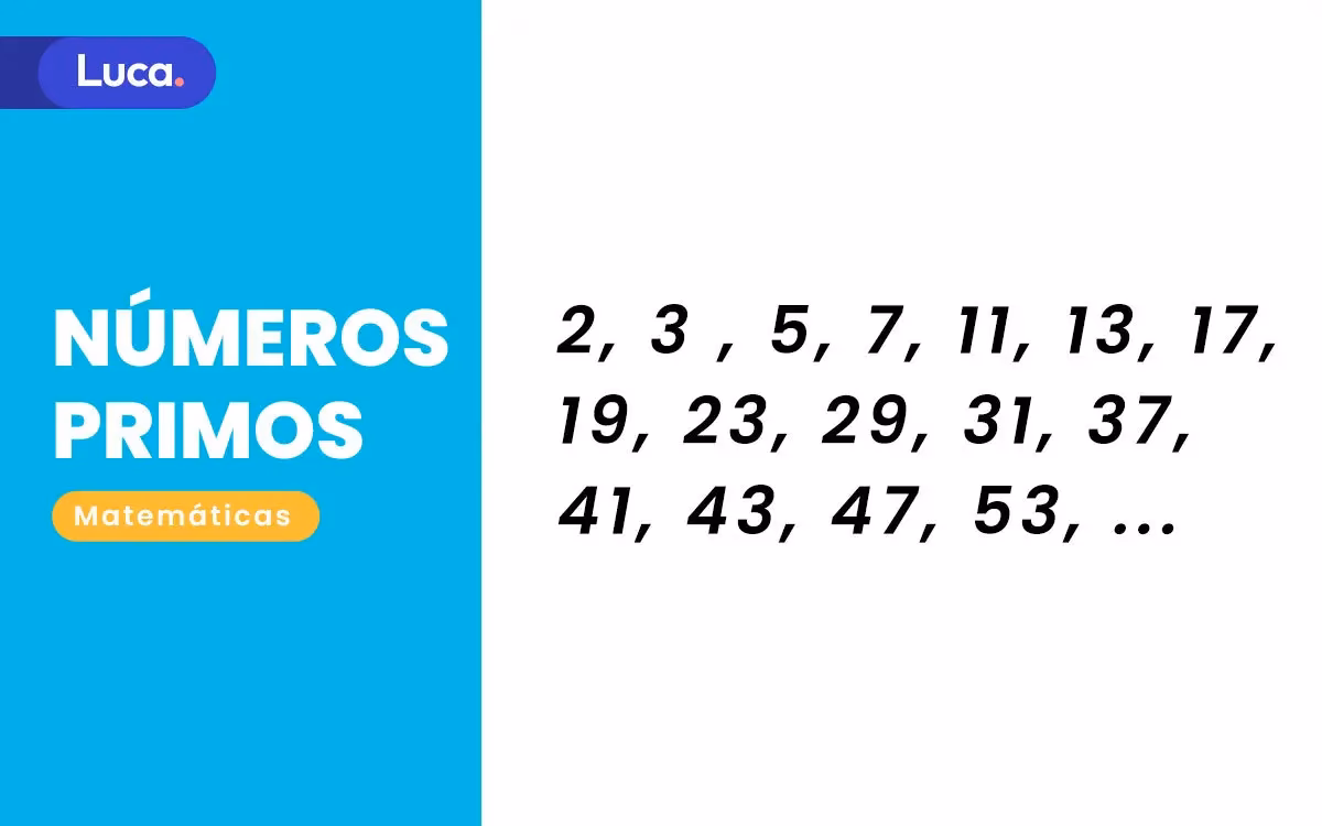 ¿Cómo se identifican los números primos y compuestos?