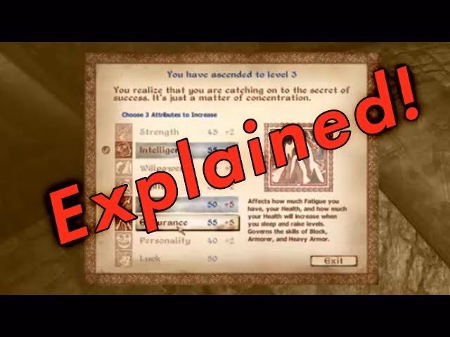 How does the leveling system work in Oblivion remastered?