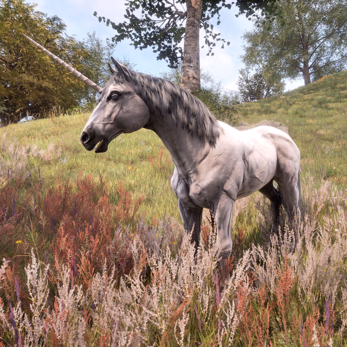 Where can I find a unicorn in Daedric?
