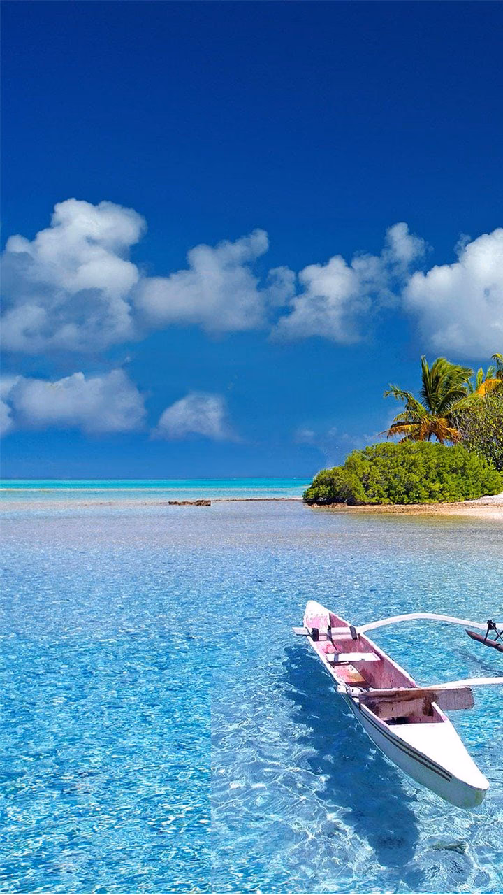 How many free ocean wallpaper images are there?