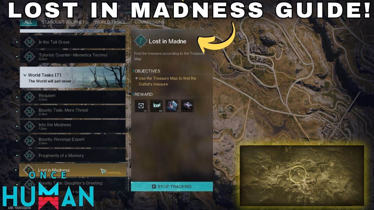 What is lost in madness?