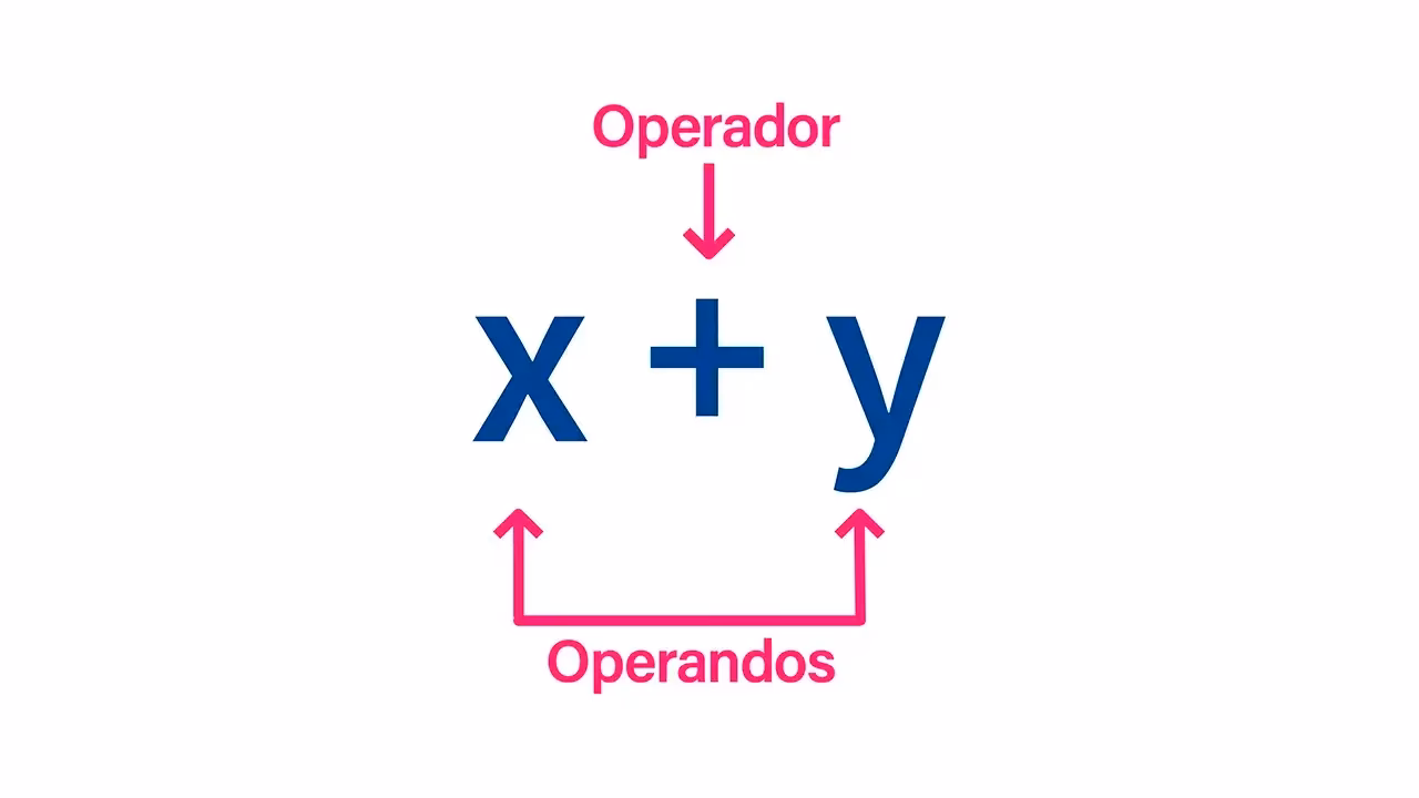 ¿Qué es un operando en programación?