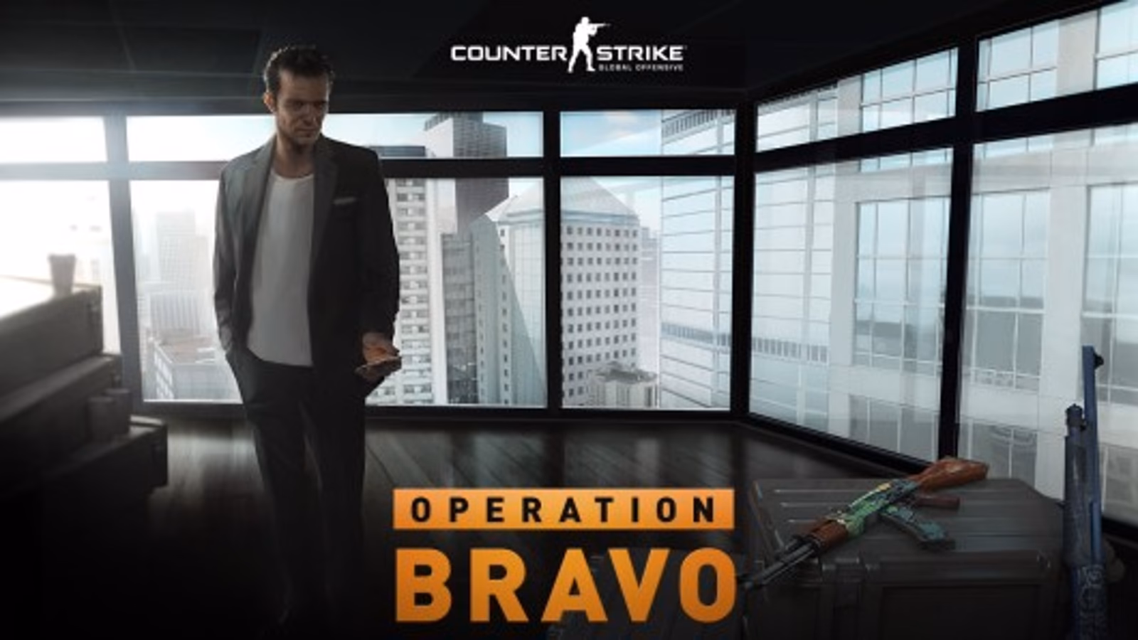 What is Operation Bravo case?