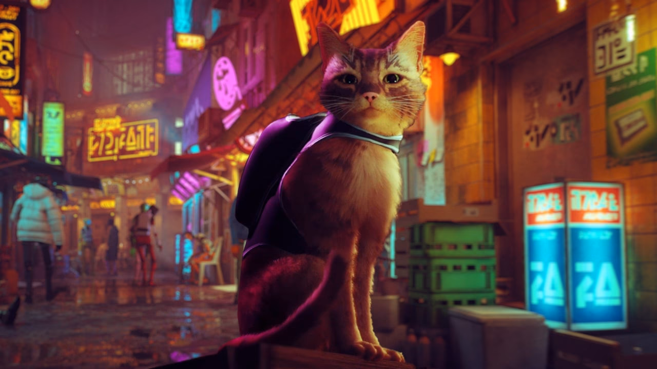 ¿Cuáles son las características de Stray?
