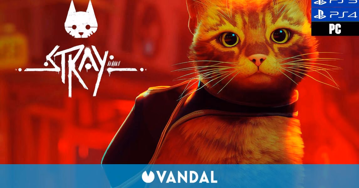 ¿Qué variedad ofrece Stray?