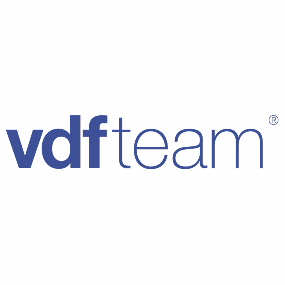 ¿Cuál es el objetivo final de VDF Team?