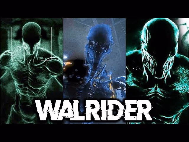 Who is the Swarm in Outlast & Whistleblower?