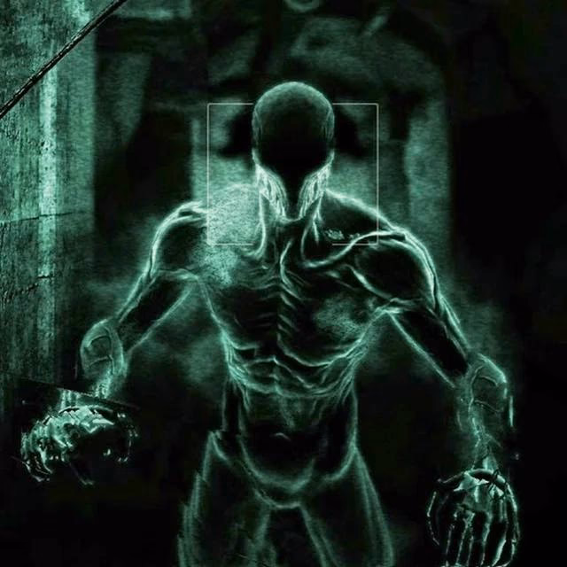 Who is the Swarm in Outlast & Whistleblower?