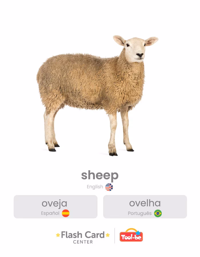 ¿Qué es la oveja?