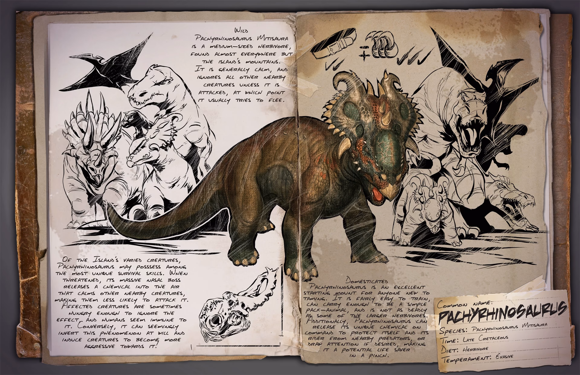 Is Pachyrhinosaurus a pheromone?