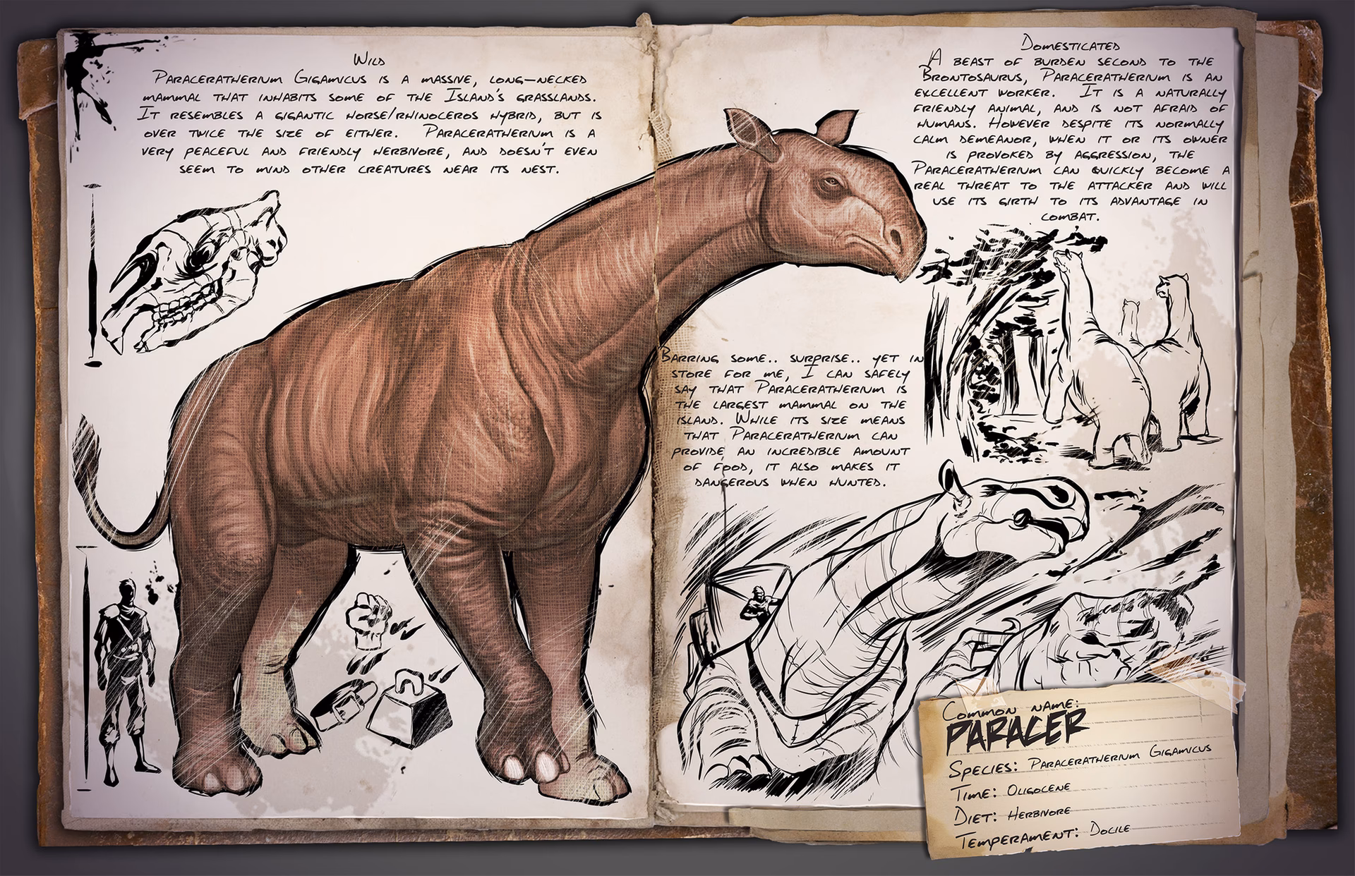 What is a paracer in Ark Survival Evolved?
