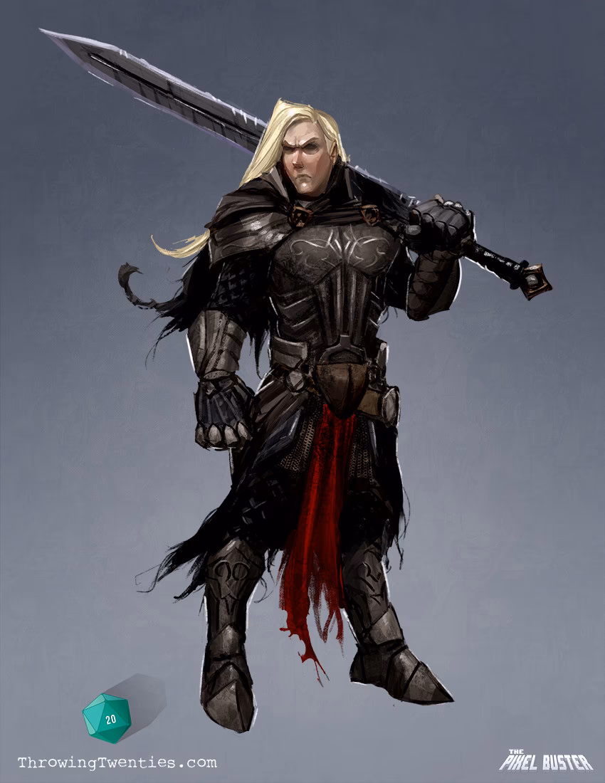 What is the role of a Dark Knight?