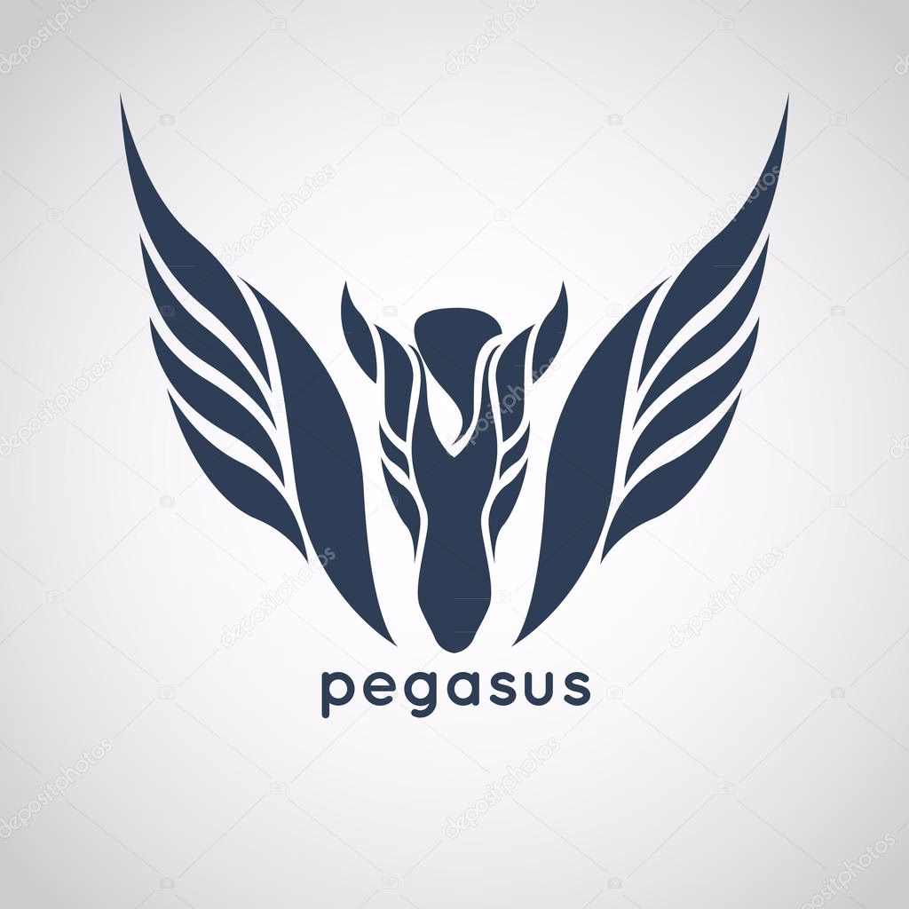 ¿Cuáles son los productos de Pegaso?