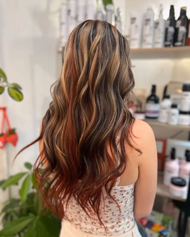 ¿Cuál es la tendencia del pelo calicó?
